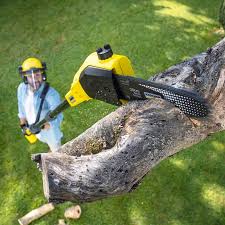 Best Lawn Mowing  in Tigerville, SC